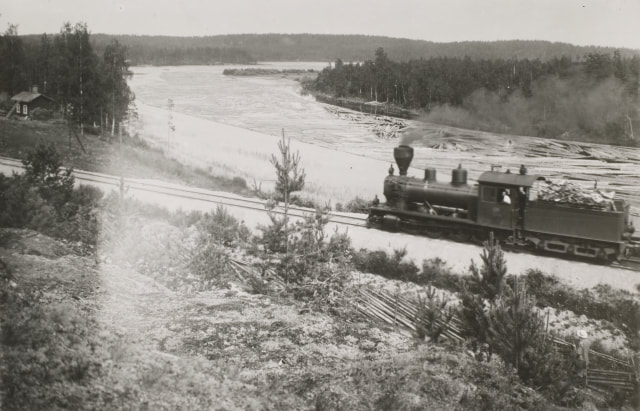 Tukkivarasto Valkealan Lappalanjärvessä Harjun rautatieaseman luona 1912.